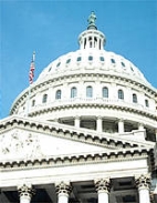 U.S. capitol dome